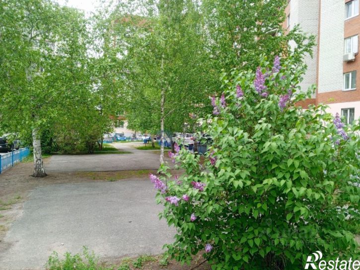 3-комн квартира Червишевский тракт, 31,  д. 31