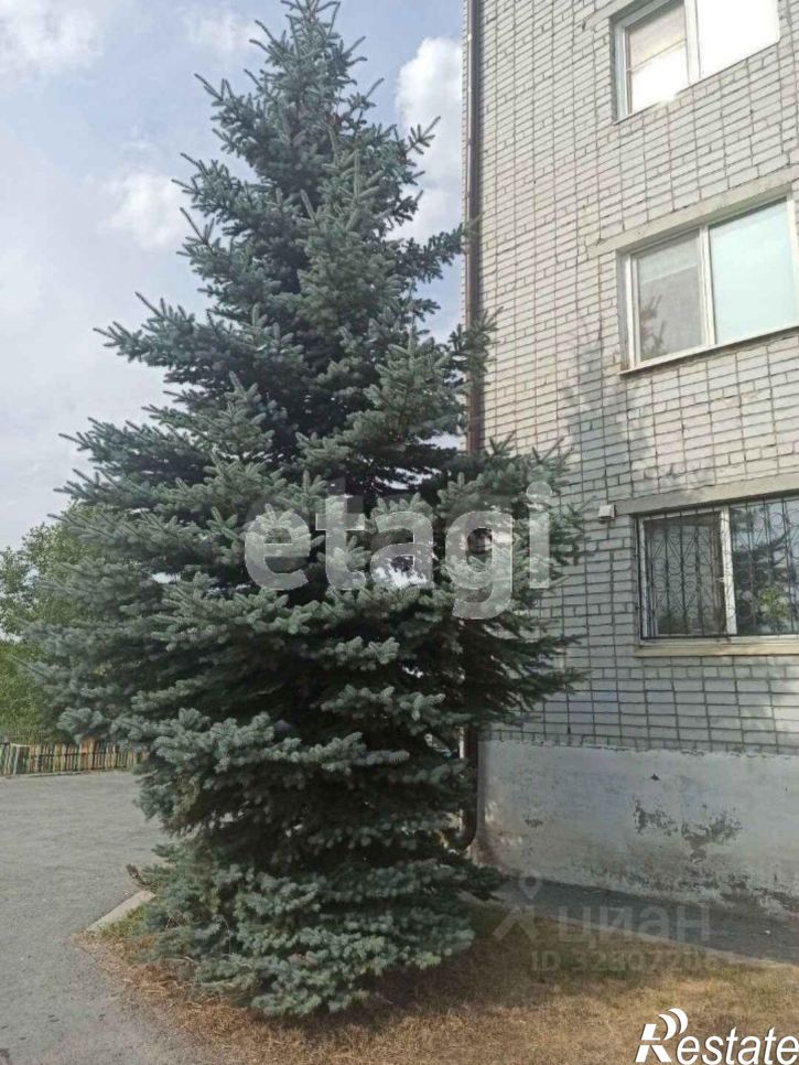 2-комн квартира улица Республики, 258,  д. 258