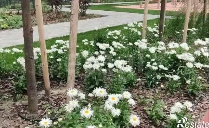 1-комн квартира в новом доме Арктическая улица, 9,  д. 9