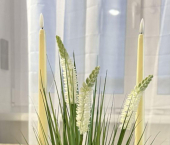 1-комн, 50кв м, этаж 15/24 ул Дамбовская, 25 1