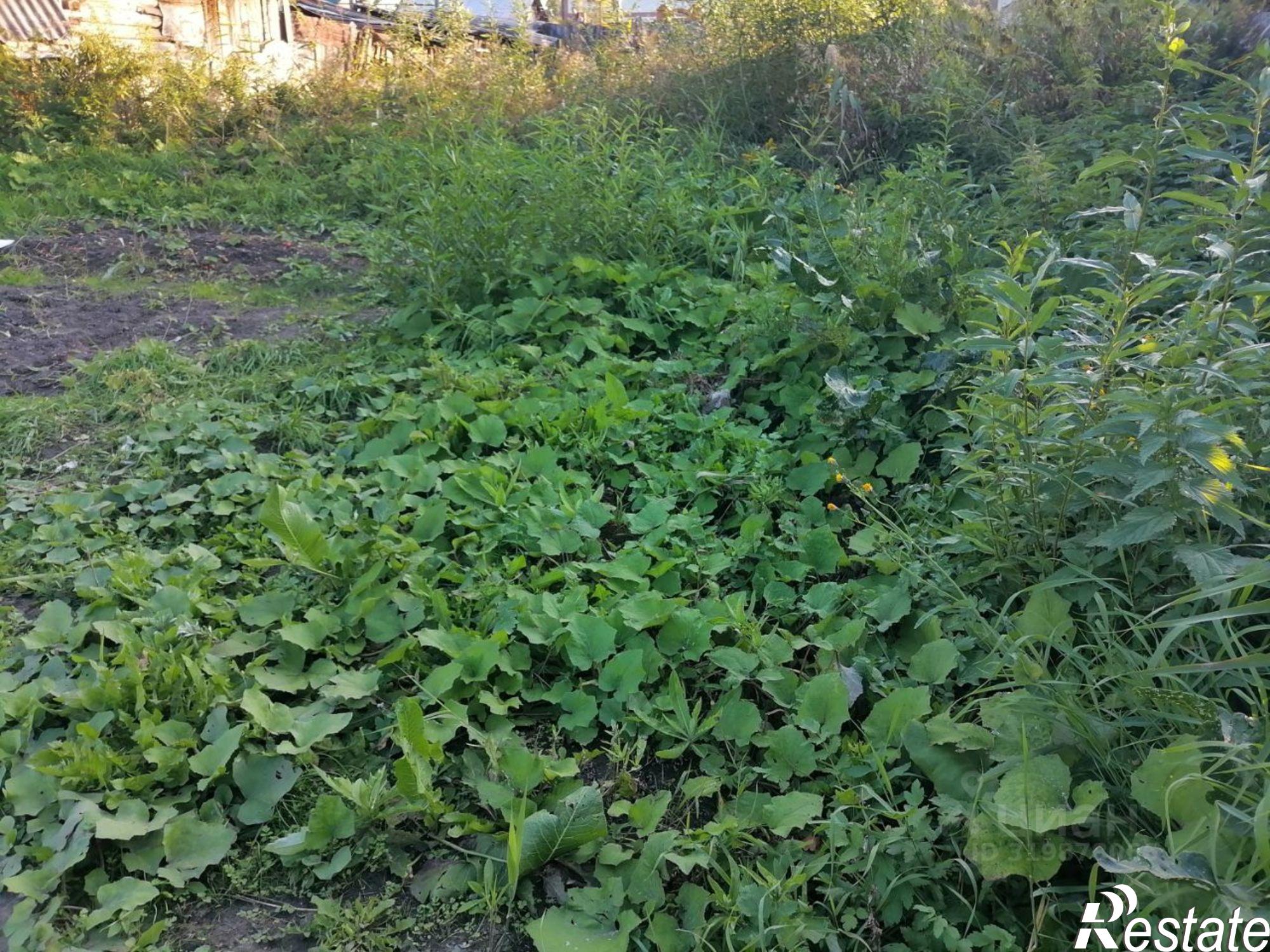 Купить землю, земельный участок за 5 500 000 рублей на ул Безноскова, 11