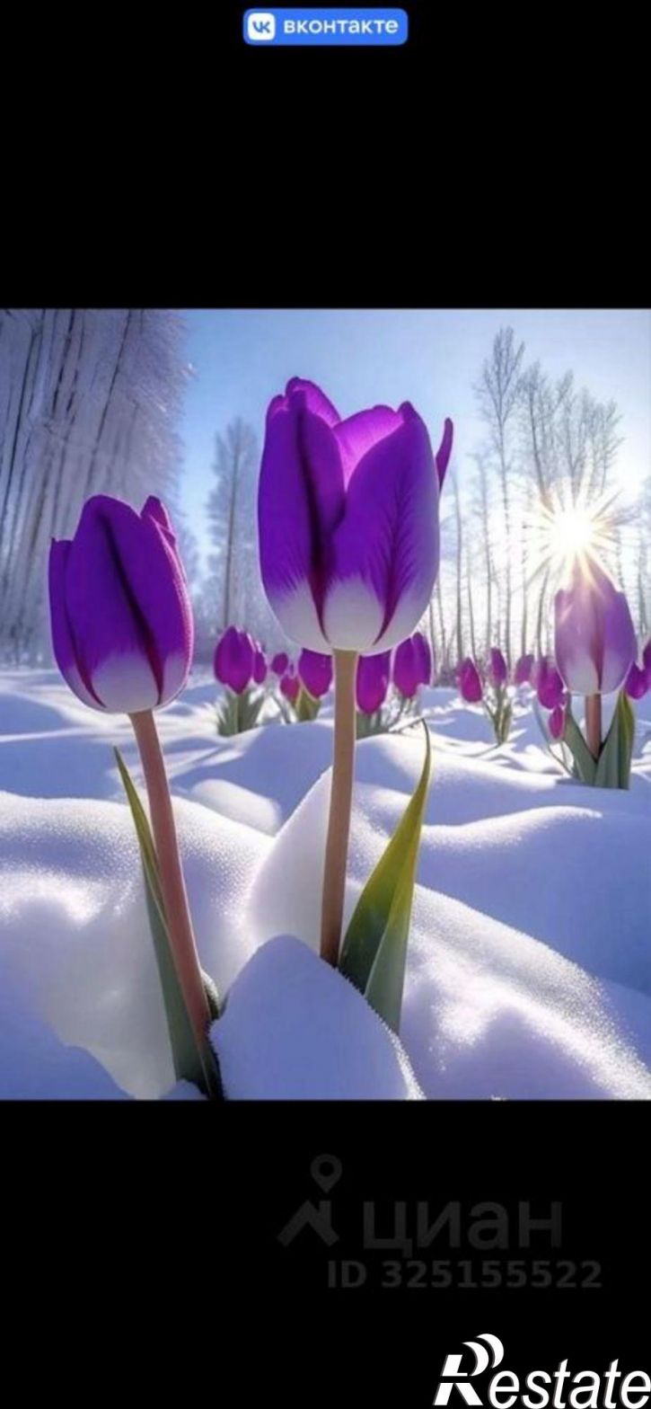 Комната Депутатская улица, 127,  д. 127