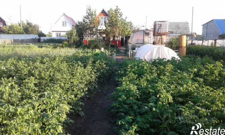 Коттедж/дом Берёзовая улица