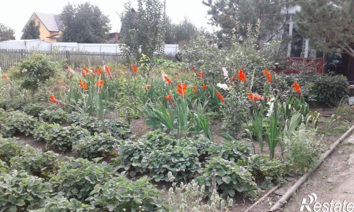 Коттедж/дом Берёзовая улица