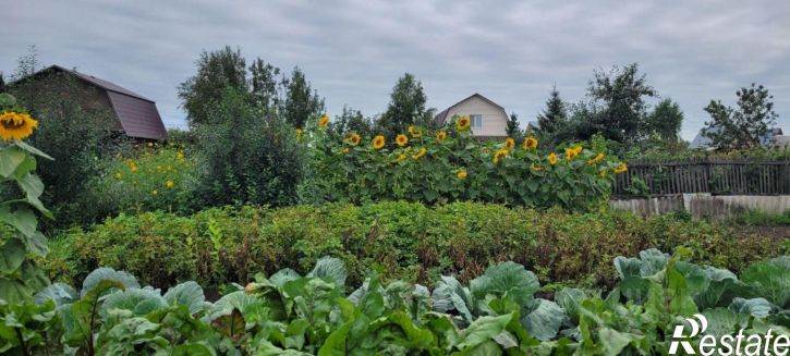 Коттедж/дом Берёзовая улица