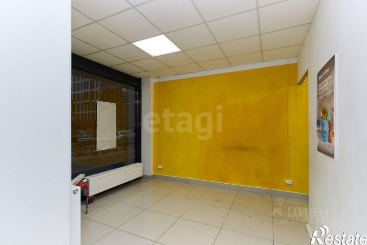 Торговое помещение улица Новосёлов, 105,  д. 105