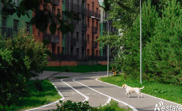 4-комн квартира ул Василия Борисова, 11,  д. 11