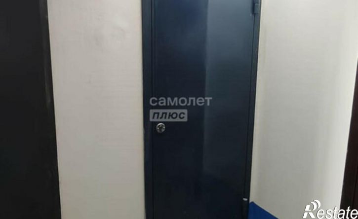1-комн квартира улица Валерии Гнаровской, 10/2,  д. 10/2