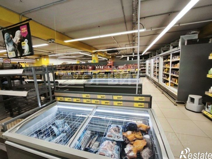 Торговое помещение ул Республики, 215а,  д. 215а