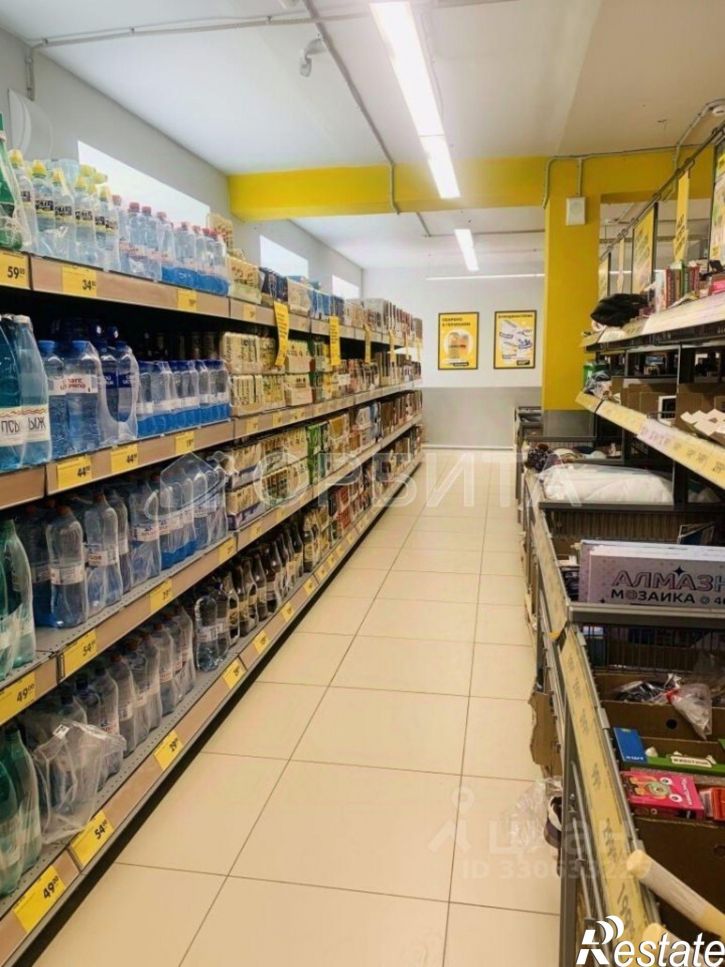Торговое помещение ул Республики, 215а,  д. 215а