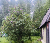коттедж 45 кв м ул Рябиновая, 1
