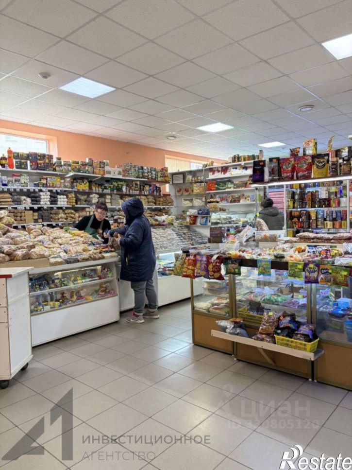 Торговое помещение улица Домостроителей, 18В,  д. 18В