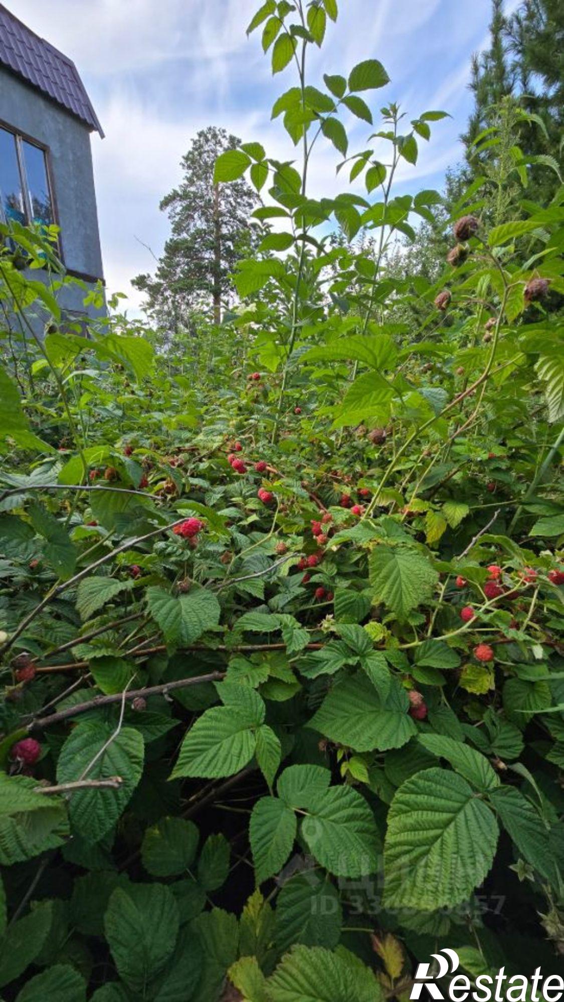 Купить землю, земельный участок за 5 700 000 рублей на ул 3-я, 4