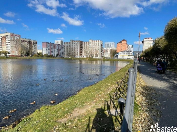 3-комн квартира ул Самарцева, 30,  д. 30