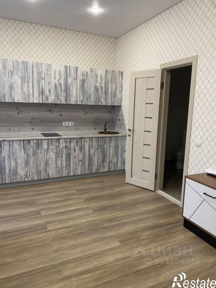 1-комн квартира ул Раушана Абдуллина, 1,  д. 1