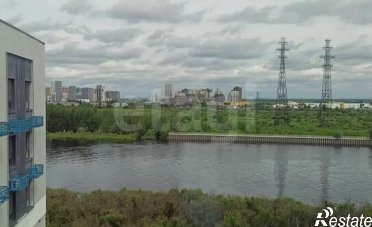 1-комн квартира ул Павла Никольского, 10,  д. 10