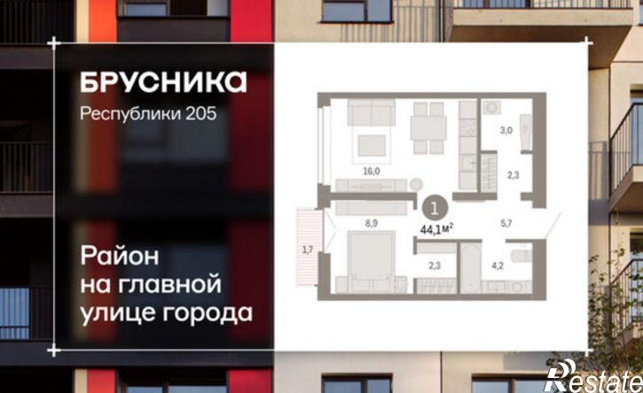 2-комн квартира ул Республики, 205 19,  д. 205 19,  к. 19
