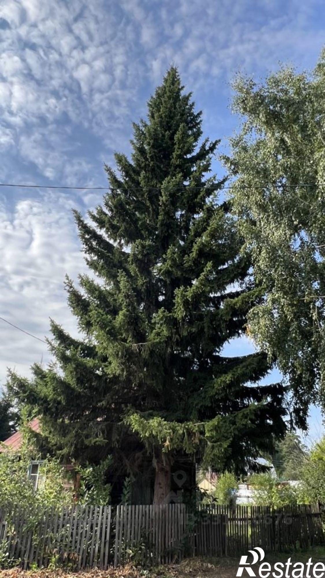 Купить дачу, дом, коттедж за 2 100 000 рублей на ул N 4, 179