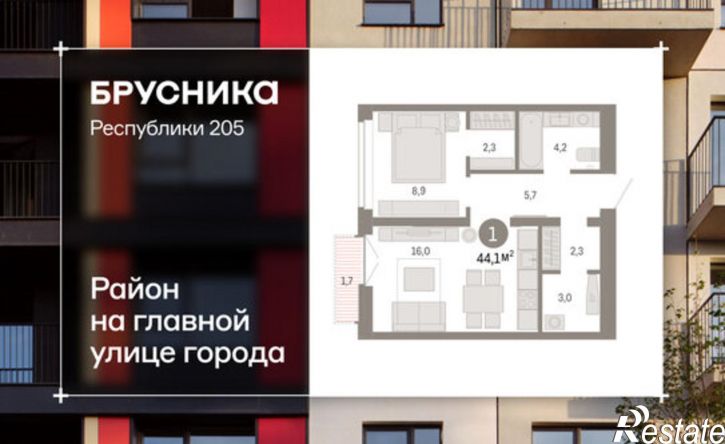 1-комн квартира ул Республики, 205 19,  д. 205 19,  к. 19