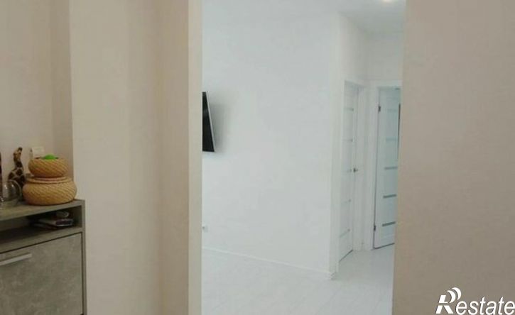 2-комн квартира улица Андрея Кореневского, 11