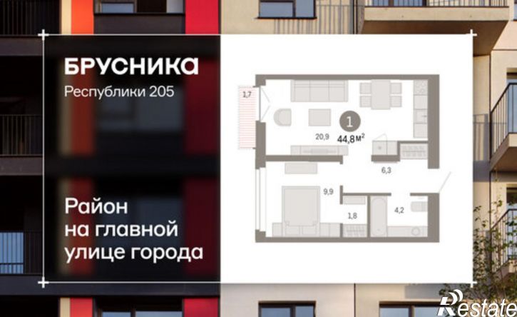 1-комн квартира ул Республики, 205 19,  д. 205 19,  к. 19