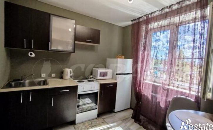 1-комн квартира ул Сидора Путилова, 45,  д. 45