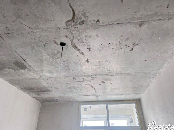 1-комн квартира ул Павла Никольского, 10,  д. 10