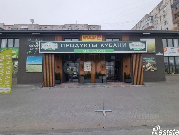Торговое помещение ул Николая Чаплина, 115/1,  д. 115/1