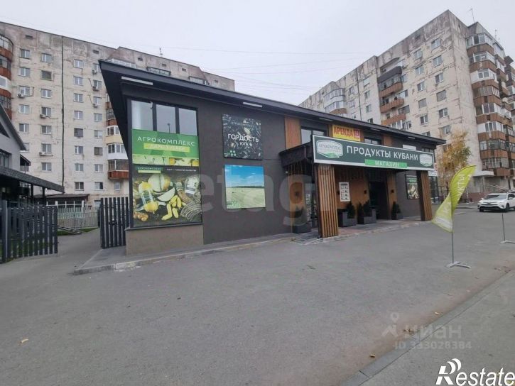 Торговое помещение ул Николая Чаплина, 115/1,  д. 115/1
