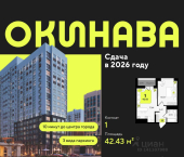 1-комн, 42 кв м, этаж 16/19 ул разведчика Кузнецова, 10