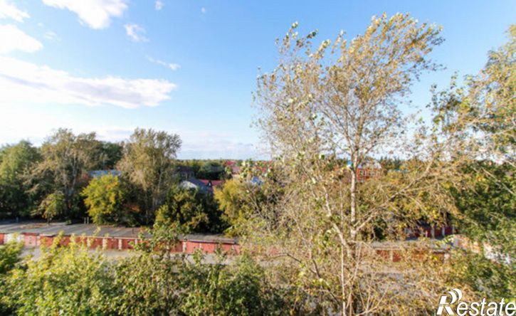 3-комн квартира ул Барнаульская, 42,  д. 42
