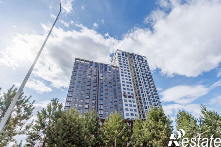 Торговое помещение улица Агеева, 217,  д. 217