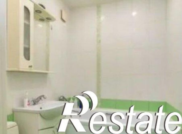 1-комн квартира улица Сидора Путилова, 45,  д. 45