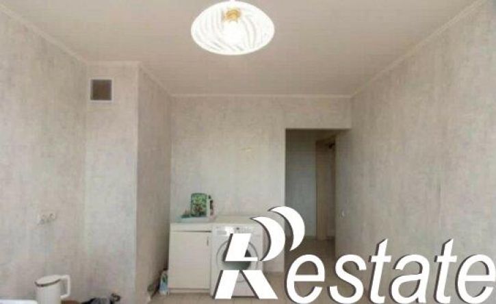 1-комн квартира улица Сидора Путилова, 45,  д. 45