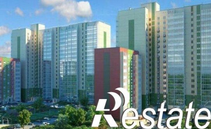 2-комн квартира улица Сидора Путилова, 45,  д. 45