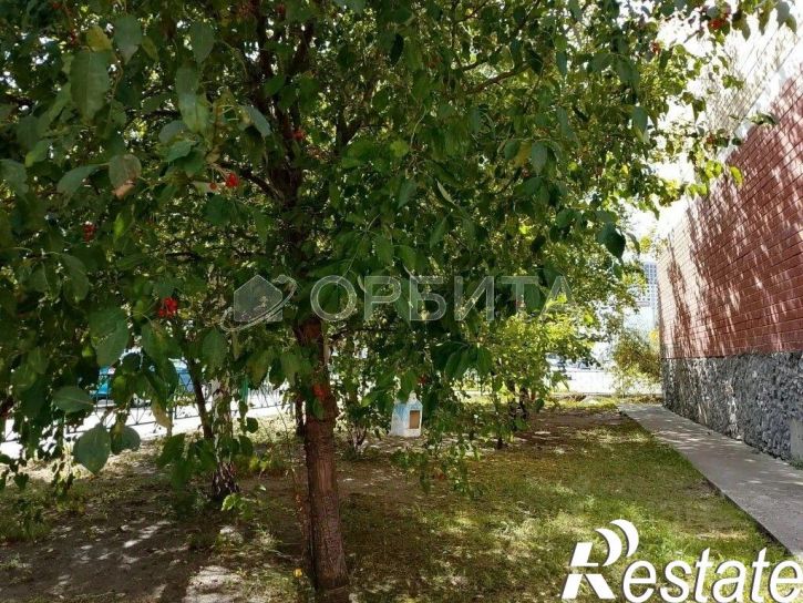 2-комн квартира улица Казачьи Луга, 11,  д. 11